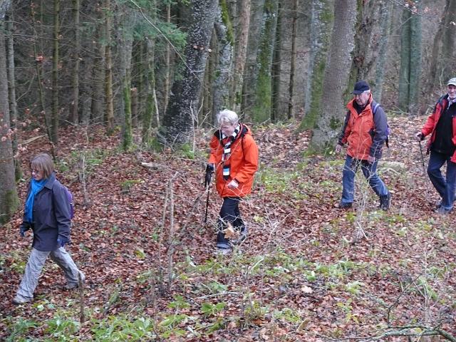 Von Hettingen über den Teufelslochfelsen nach Gammertingen